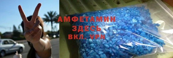 гидра Ельня