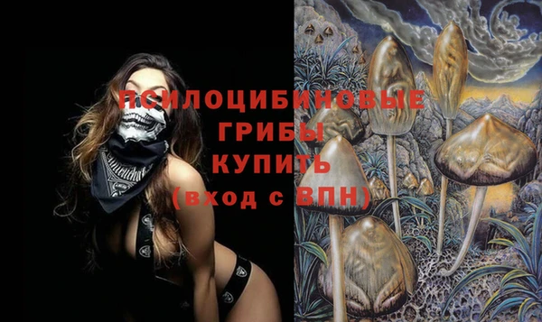крисы Елабуга